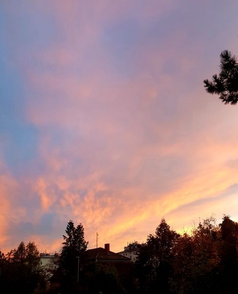 Sonne, Mond und Sterne 06.11.2022