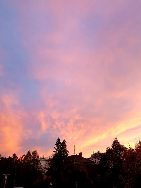 Sonne, Mond und Sterne 06.11.2022