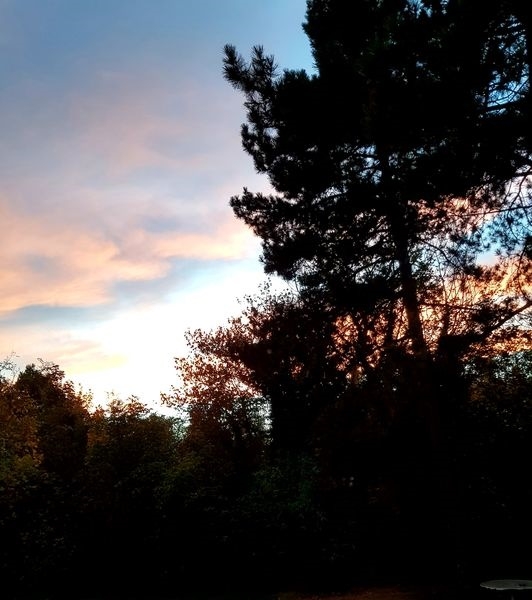 Sonne, Mond und Sterne 06.11.2022