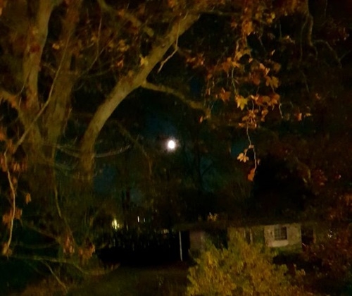 Sonne, Mond und Sterne 08.11.2025