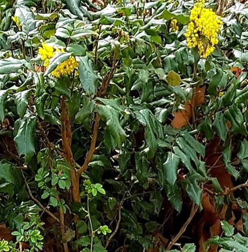 Spaziergang 30.03.2023