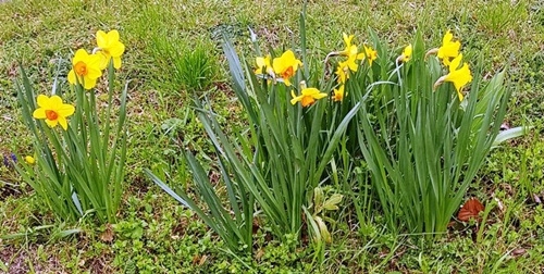 Spaziergang 30.03.2023
