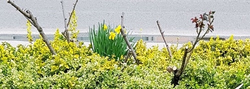 Spaziergang 30.03.2023