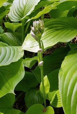 Spaziergang 17.06.2025