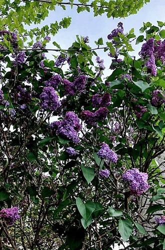 Spaziergang 10.04.2024