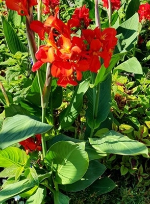 Spaziergang 30.07.2024