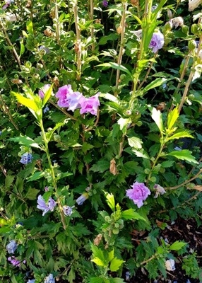 Spaziergang 30.07.2024