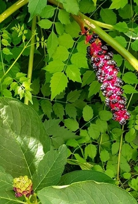 Spaziergang 30.07.2024