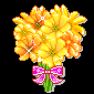 blume-0355