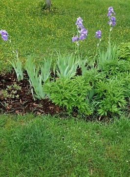 Spaziergang 07.05.2024