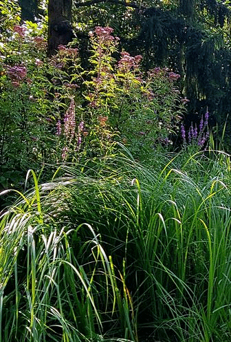 Spaziergang 10.07.2024