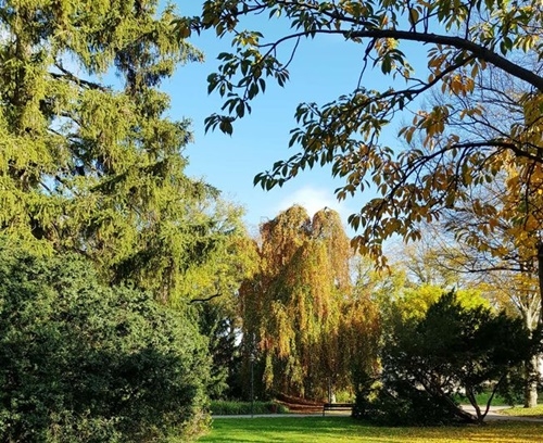 Herbst 2024 29.10.2024