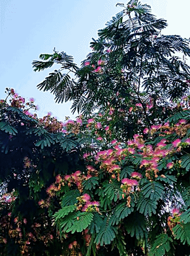 Spaziergang 10.07.2024