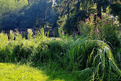 Spaziergang 10.07.2024