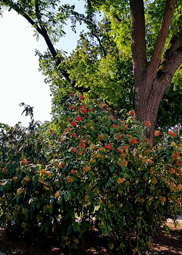 Spaziergang 10.07.2024