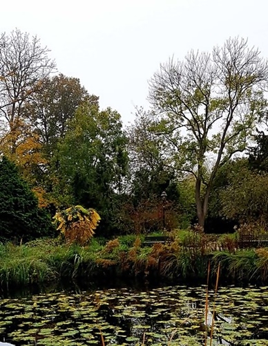 Herbst 2024 29.10.2024