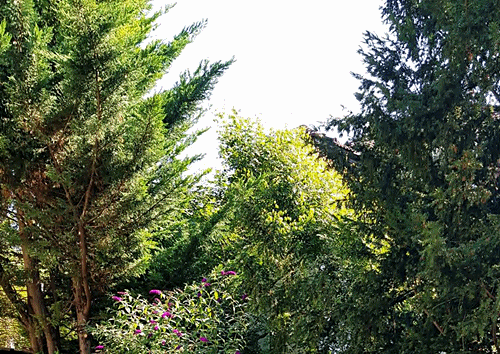 Spaziergang 10.07.2024