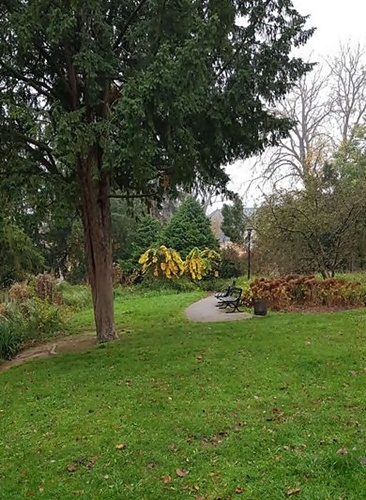 Herbst 2024 29.10.2024