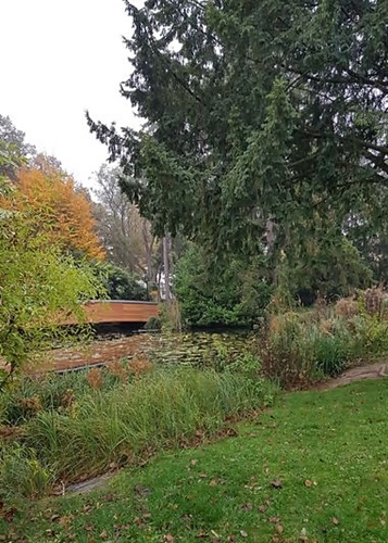 Herbst 2024 29.10.2024
