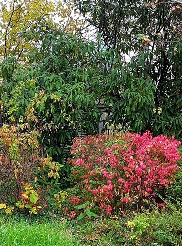 Herbst 2024 29.10.2024