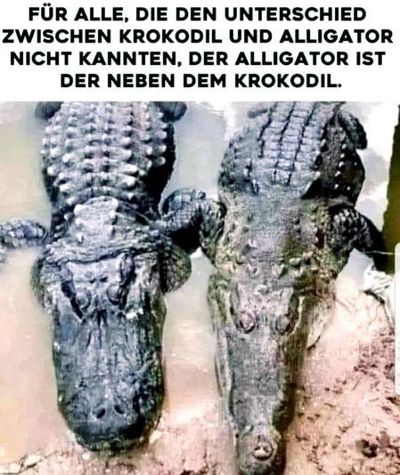 kroko