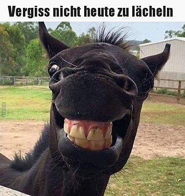 lächeln
