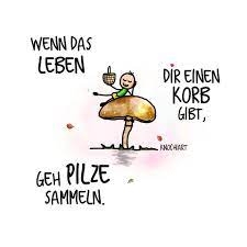leben und pilze