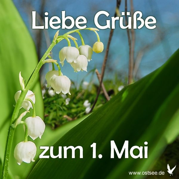 maigrüße