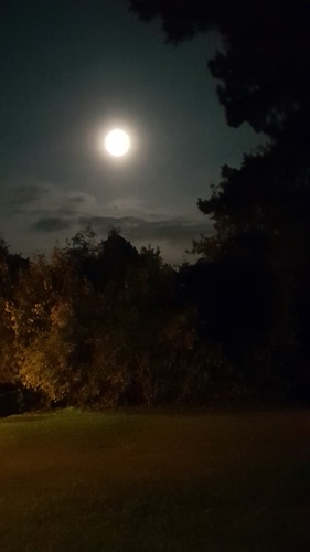 Sonne, Mond und Sterne 19.10.2021