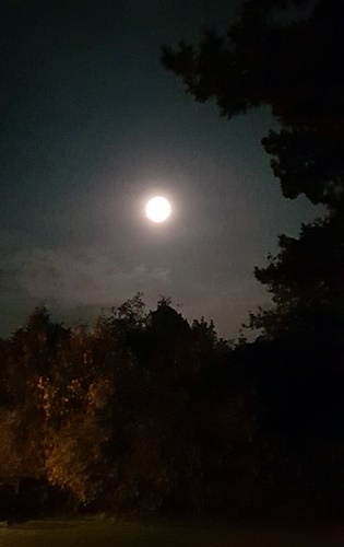 Sonne, Mond und Sterne 19.10.2021
