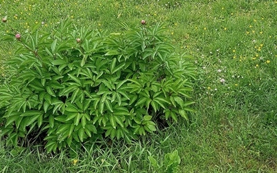 Spaziergang 07.05.2024