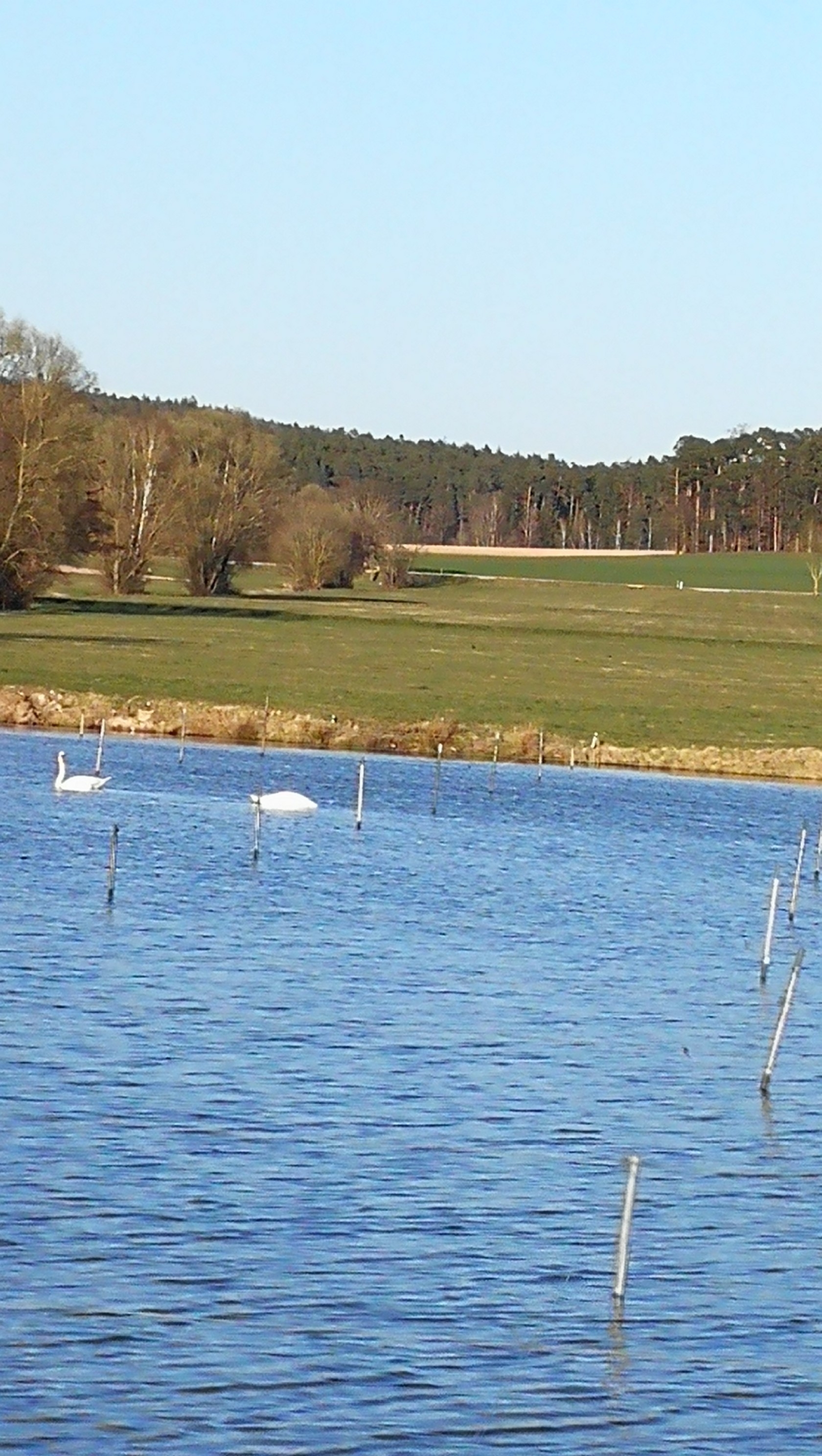 Heimat 12.05.2020
