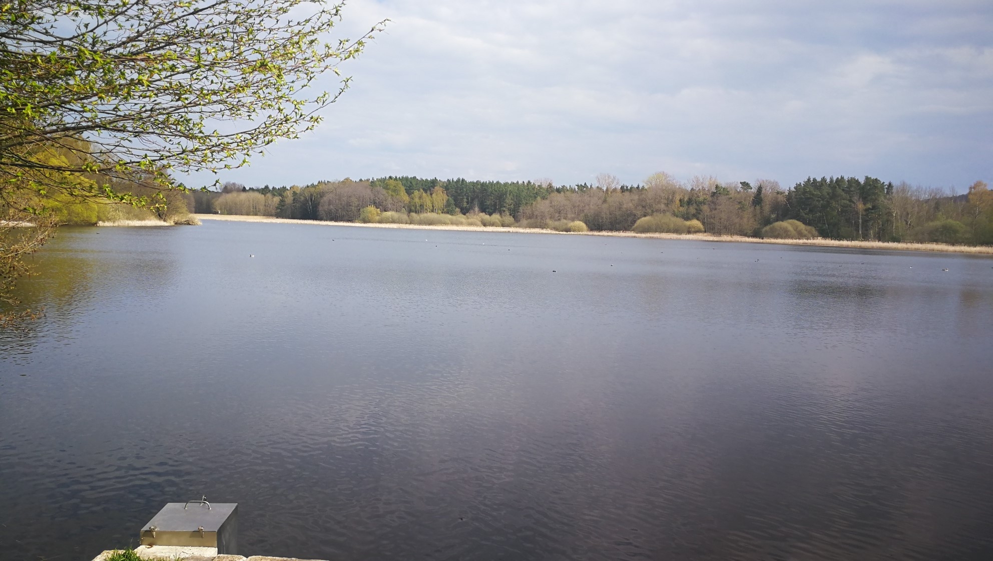 Heimat 13.05.2020
