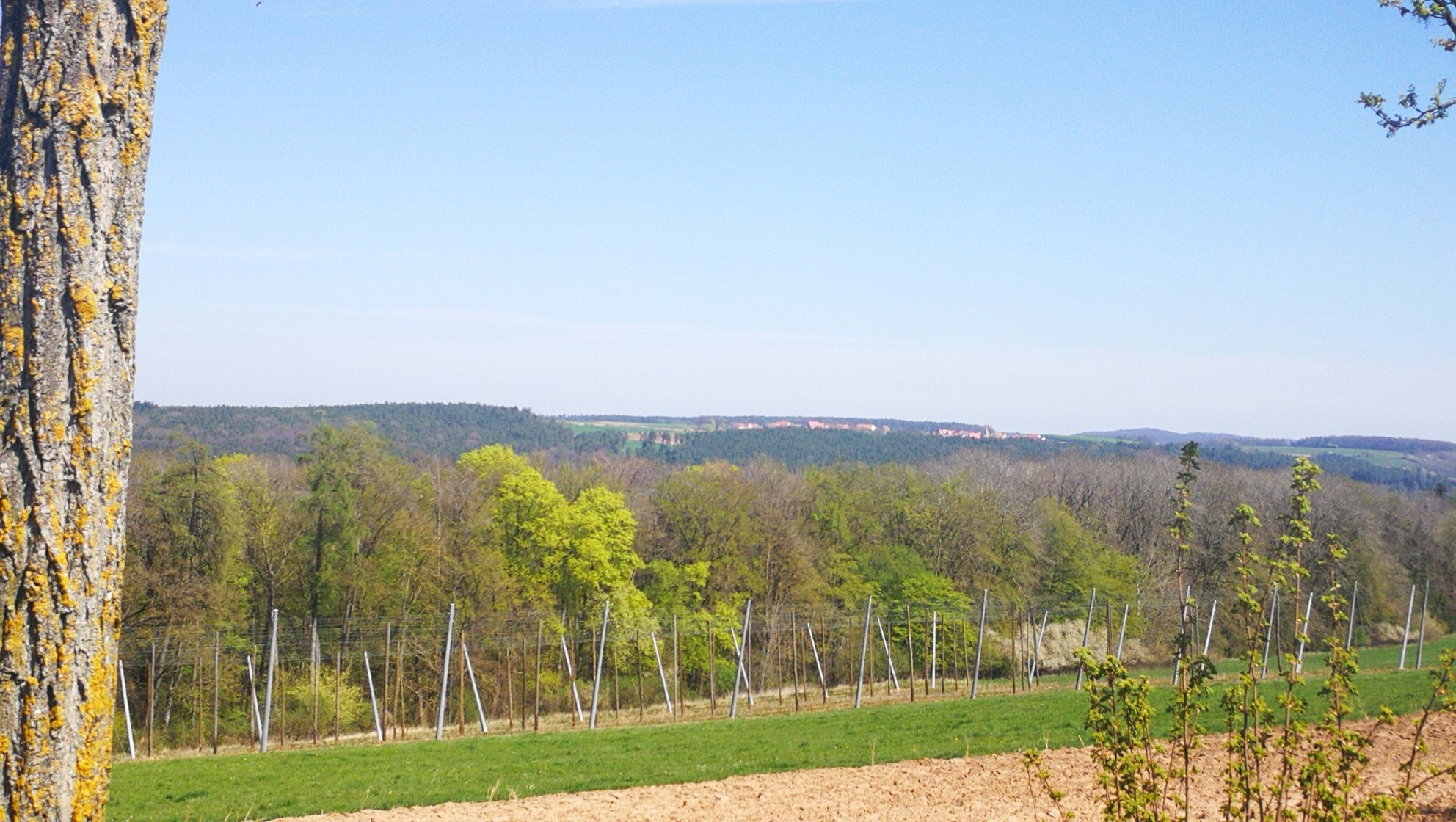 Heimat 13.05.2020