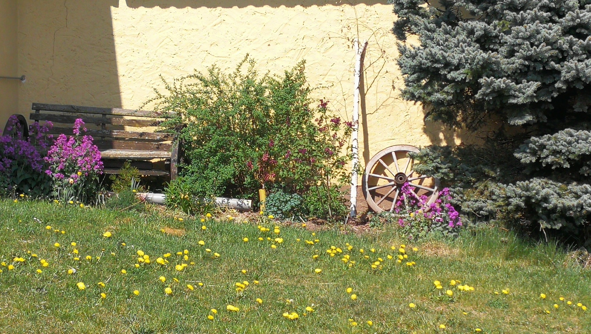 Heimat 12.05.2020