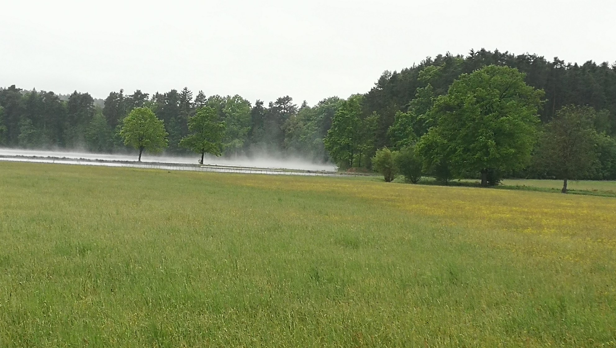 Heimat 13.05.2020