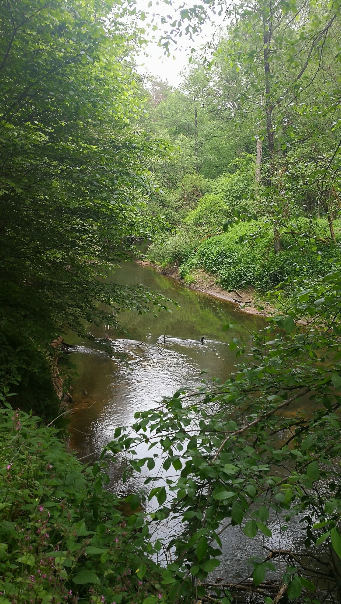Wandern im Frankenland 26.05.2020