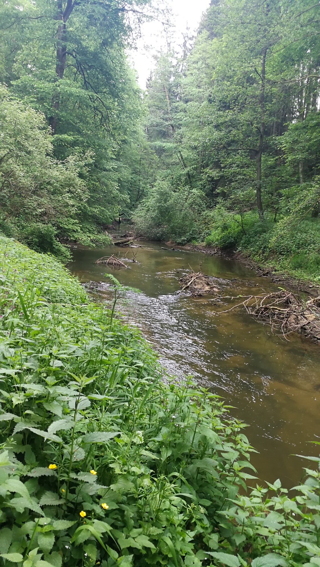 Wandern im Frankenland 26.05.2020