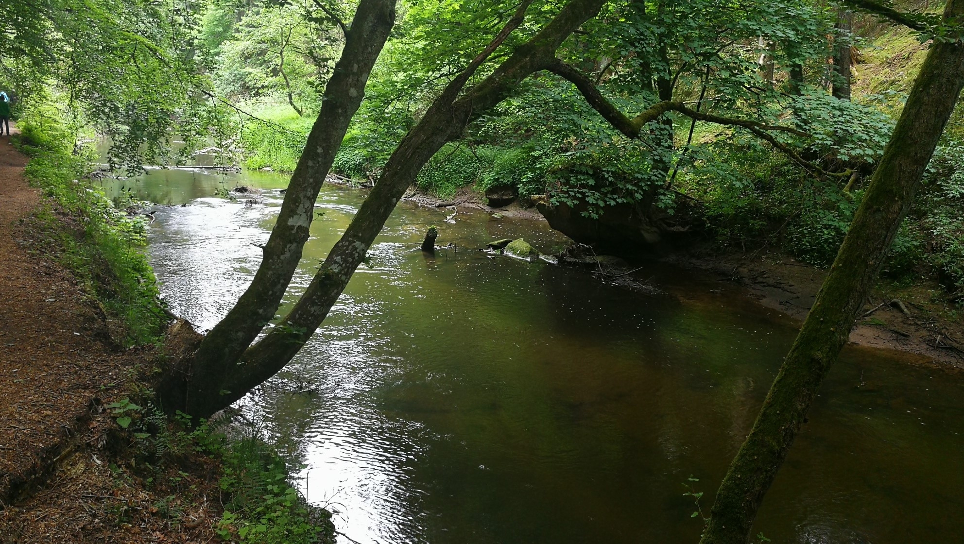 Wandern im Frankenland 26.05.2020