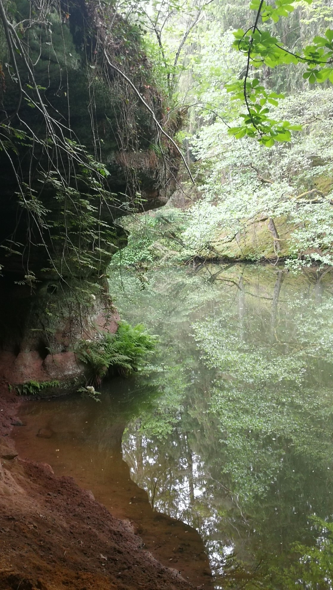 Wandern im Frankenland 26.05.2020
