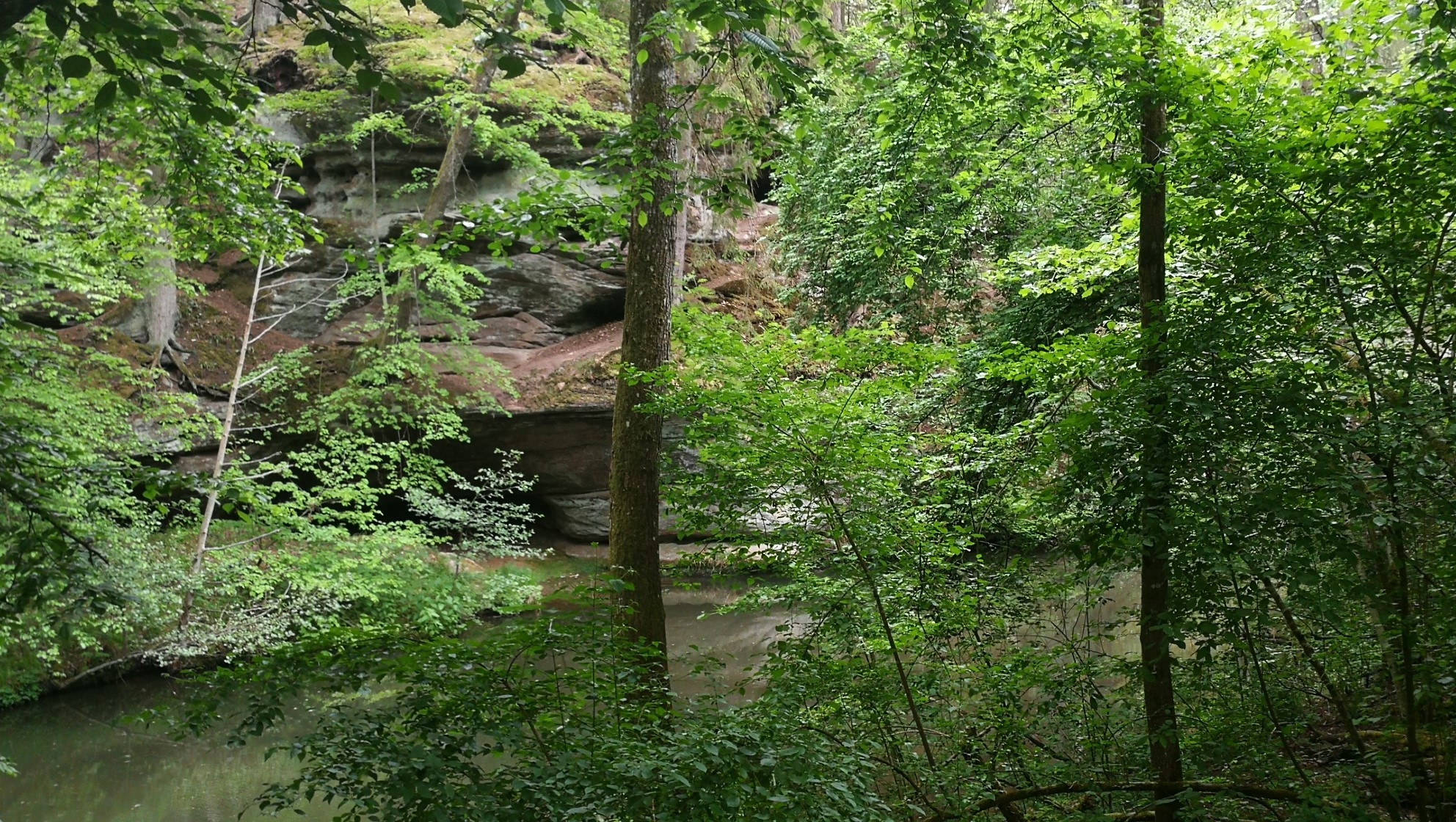 Wandern im Frankenland 26.05.2020