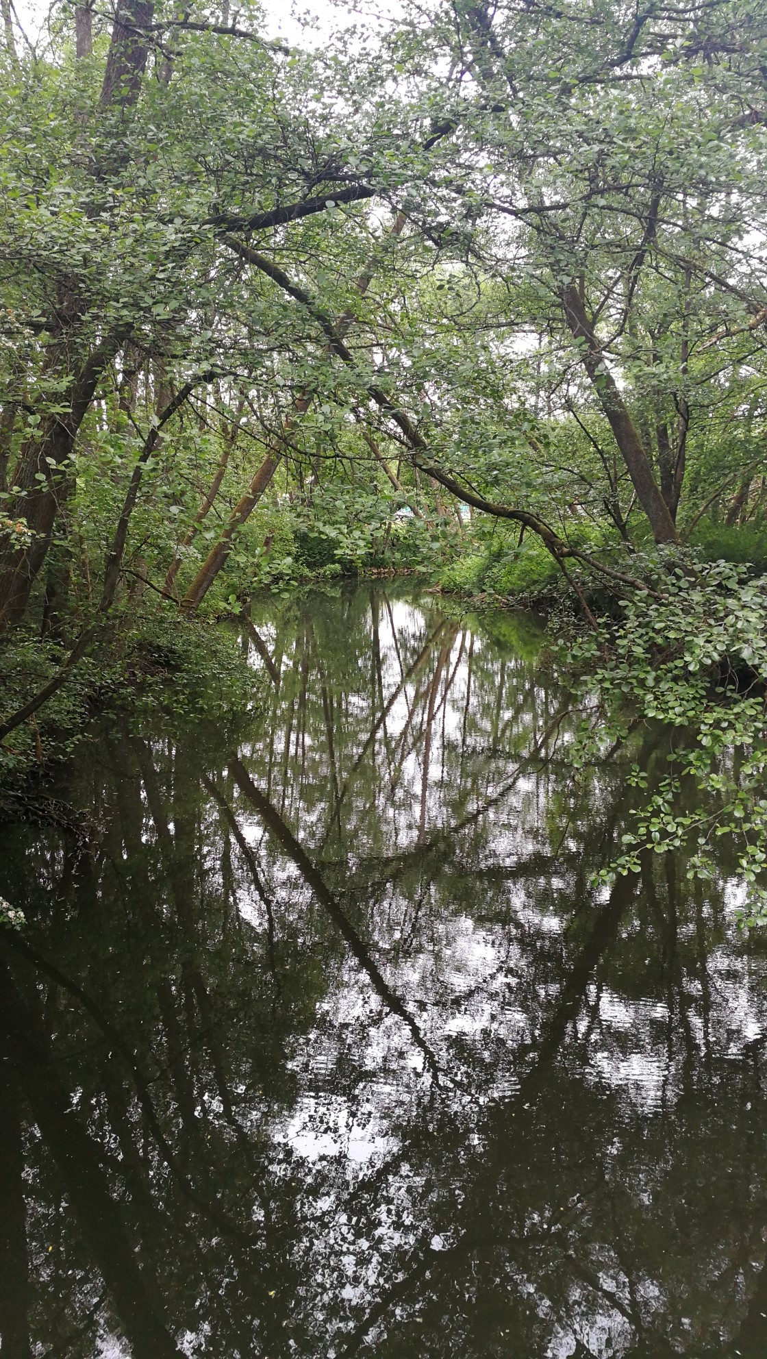 Wandern im Frankenland 26.05.2020
