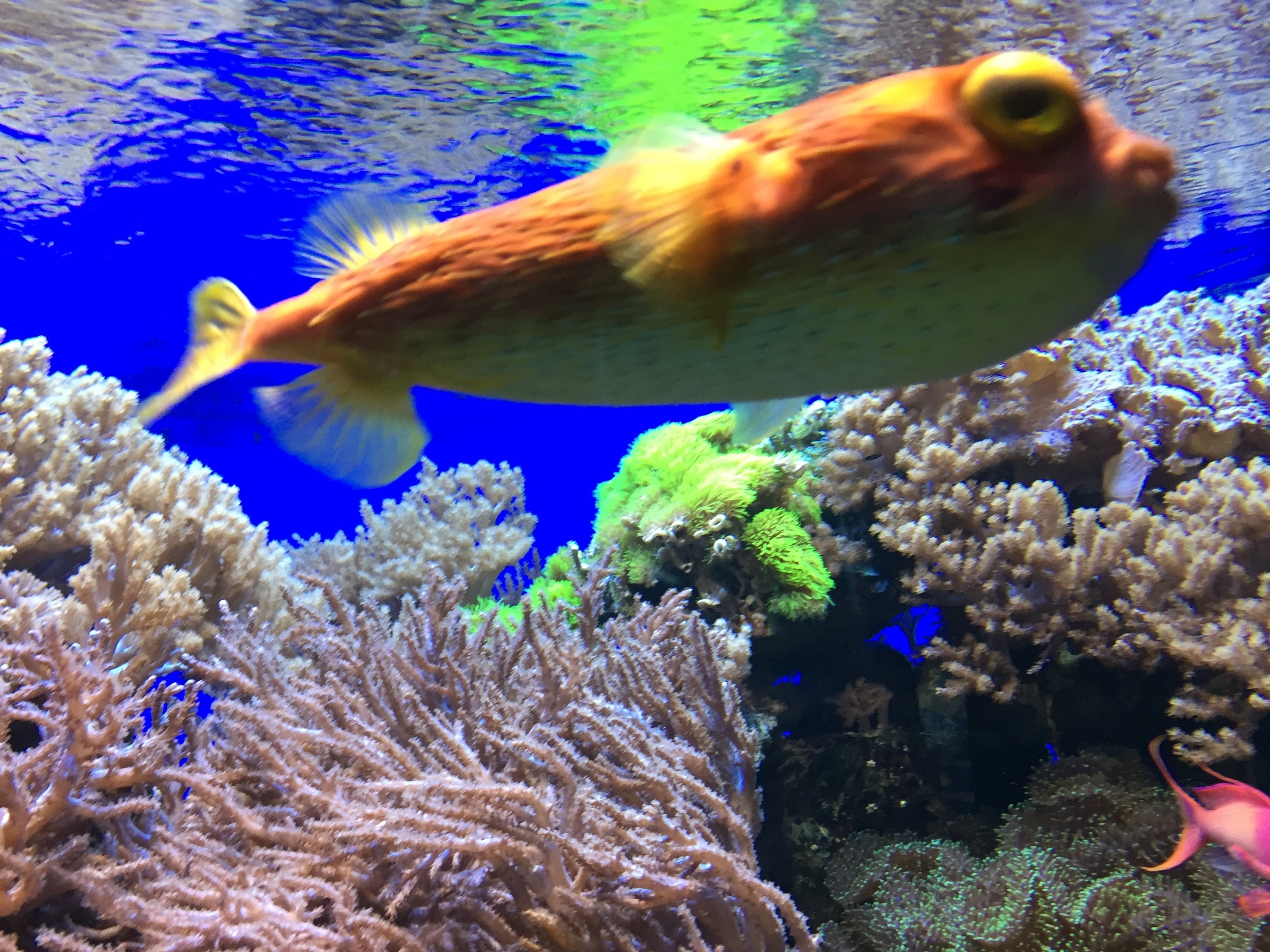 Zoo 05.07.2019
