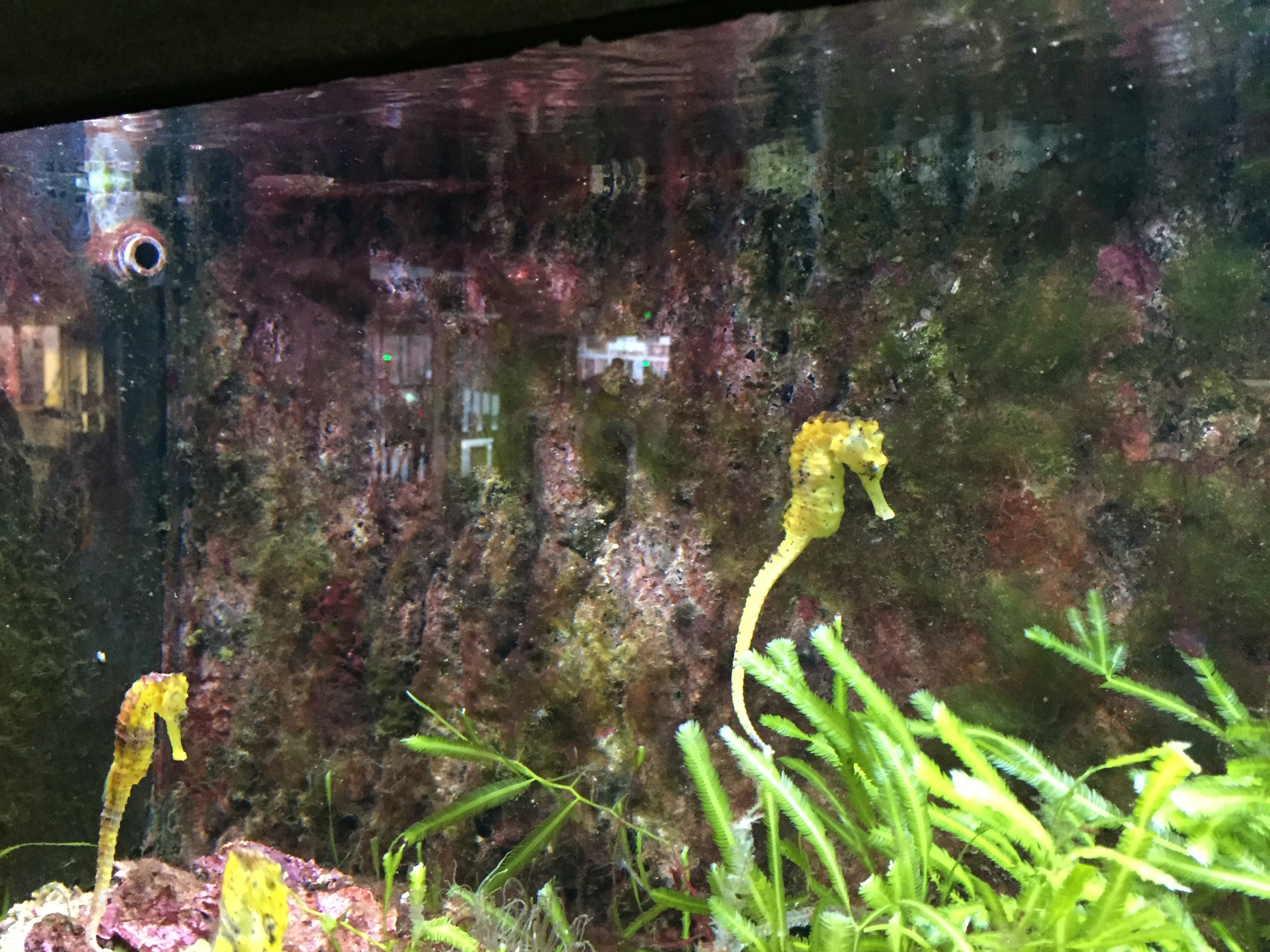 Zoo 05.07.2019
