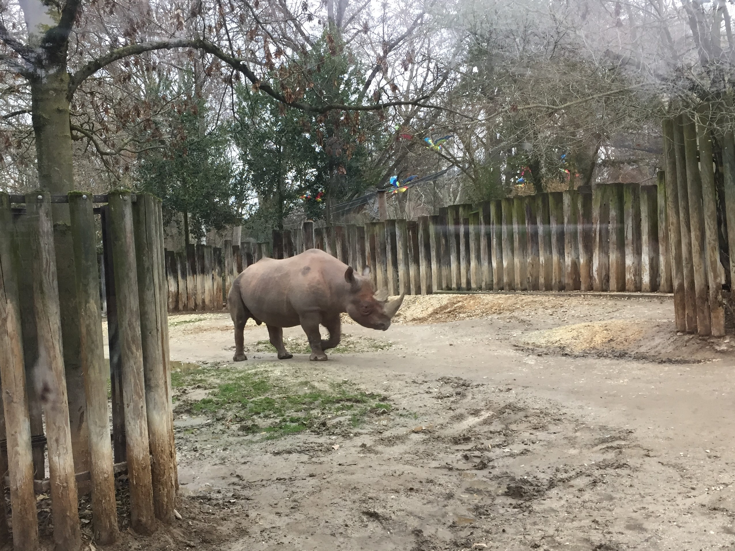 Zoo 05.07.2019