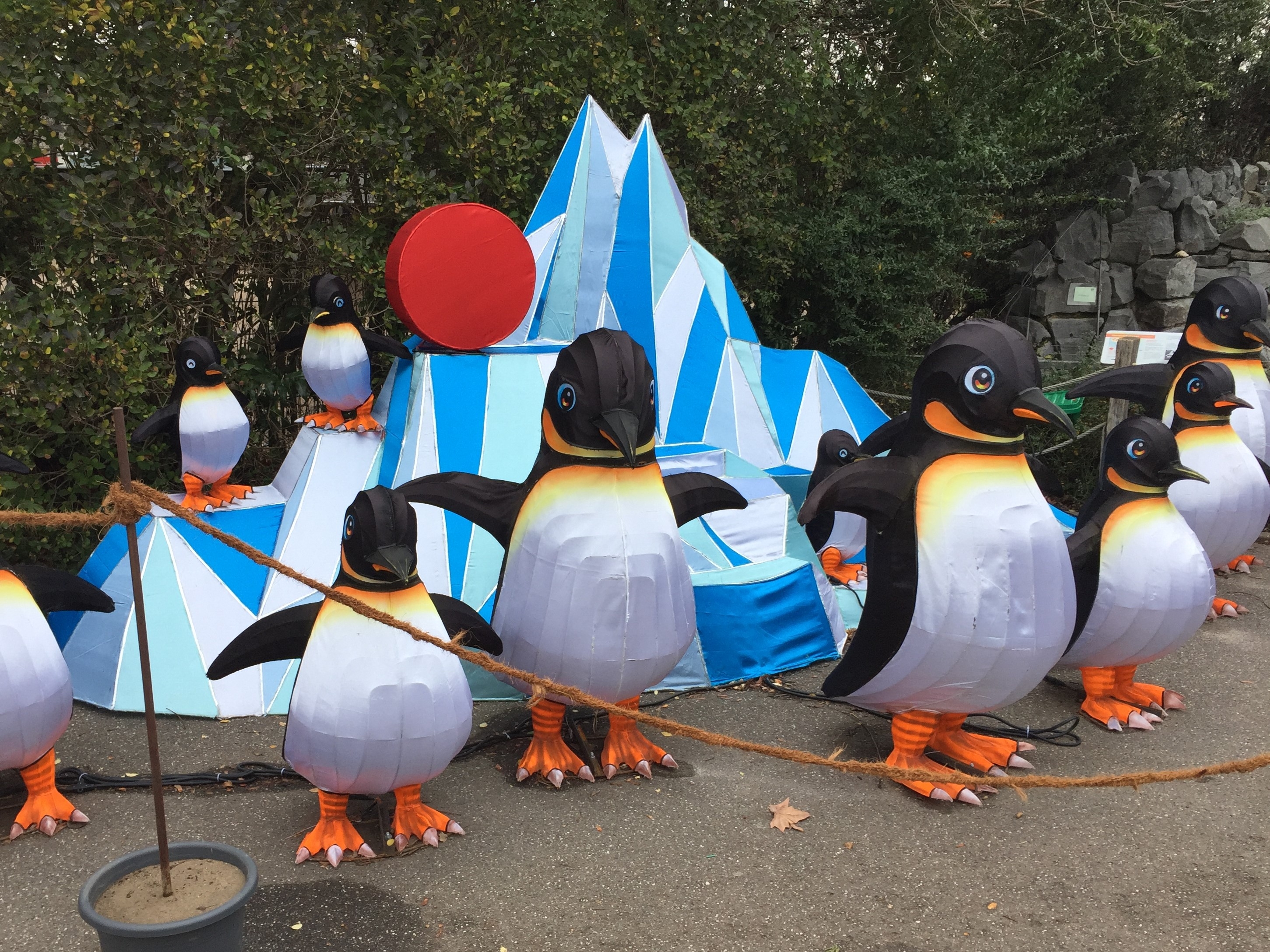 Zoo 05.07.2019