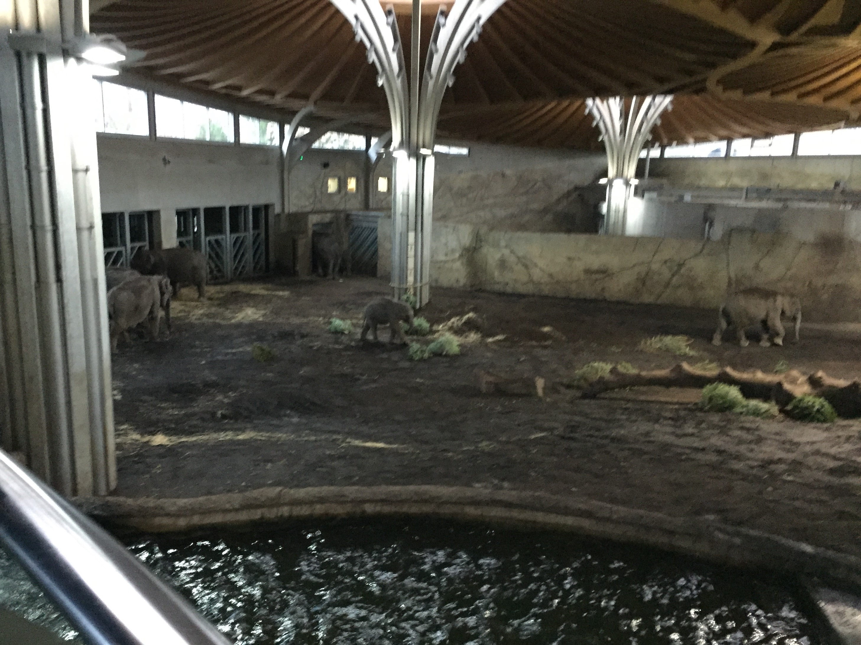 Zoo 05.07.2019
