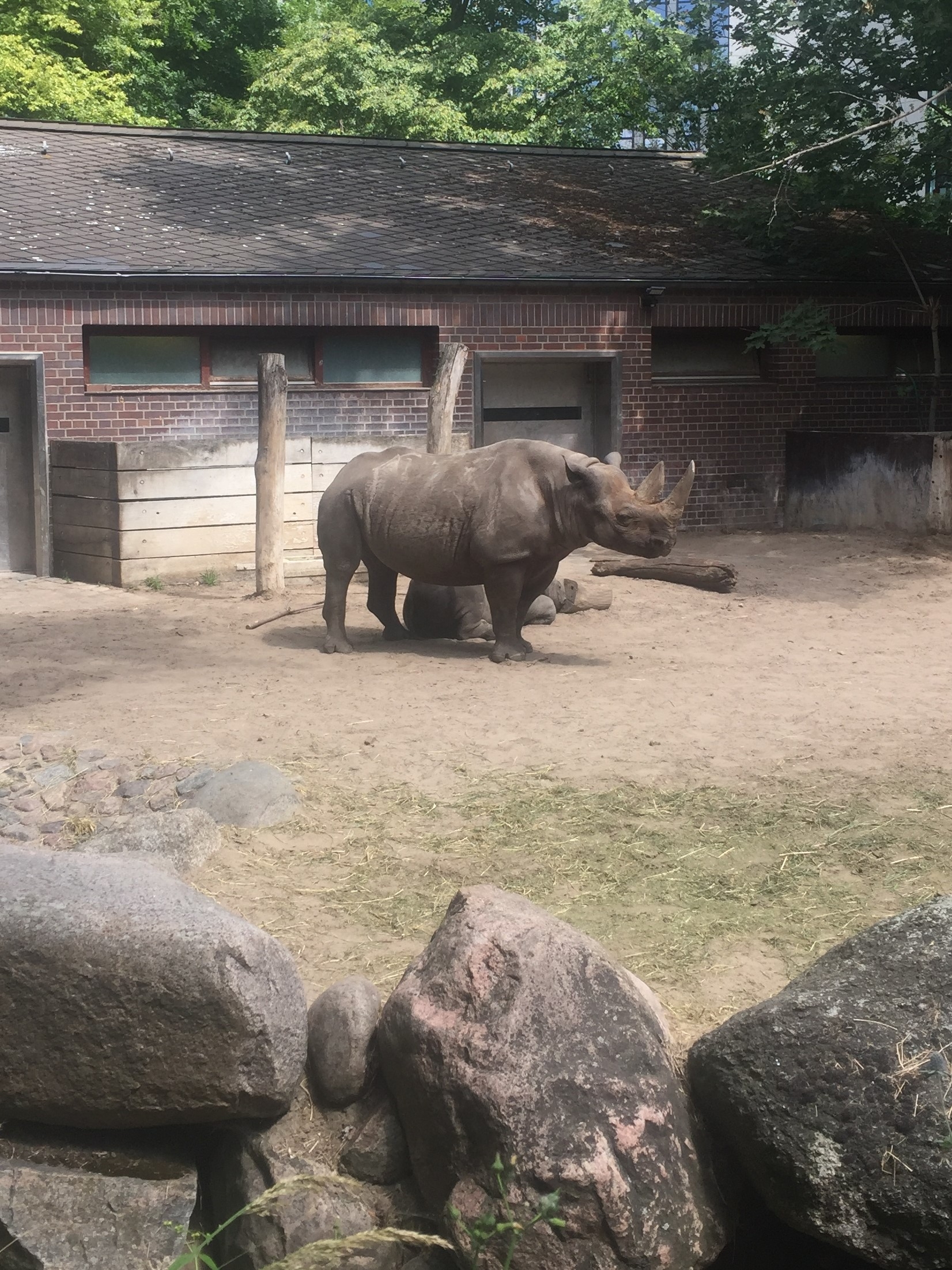 Zoo Berlin  14.08.2019