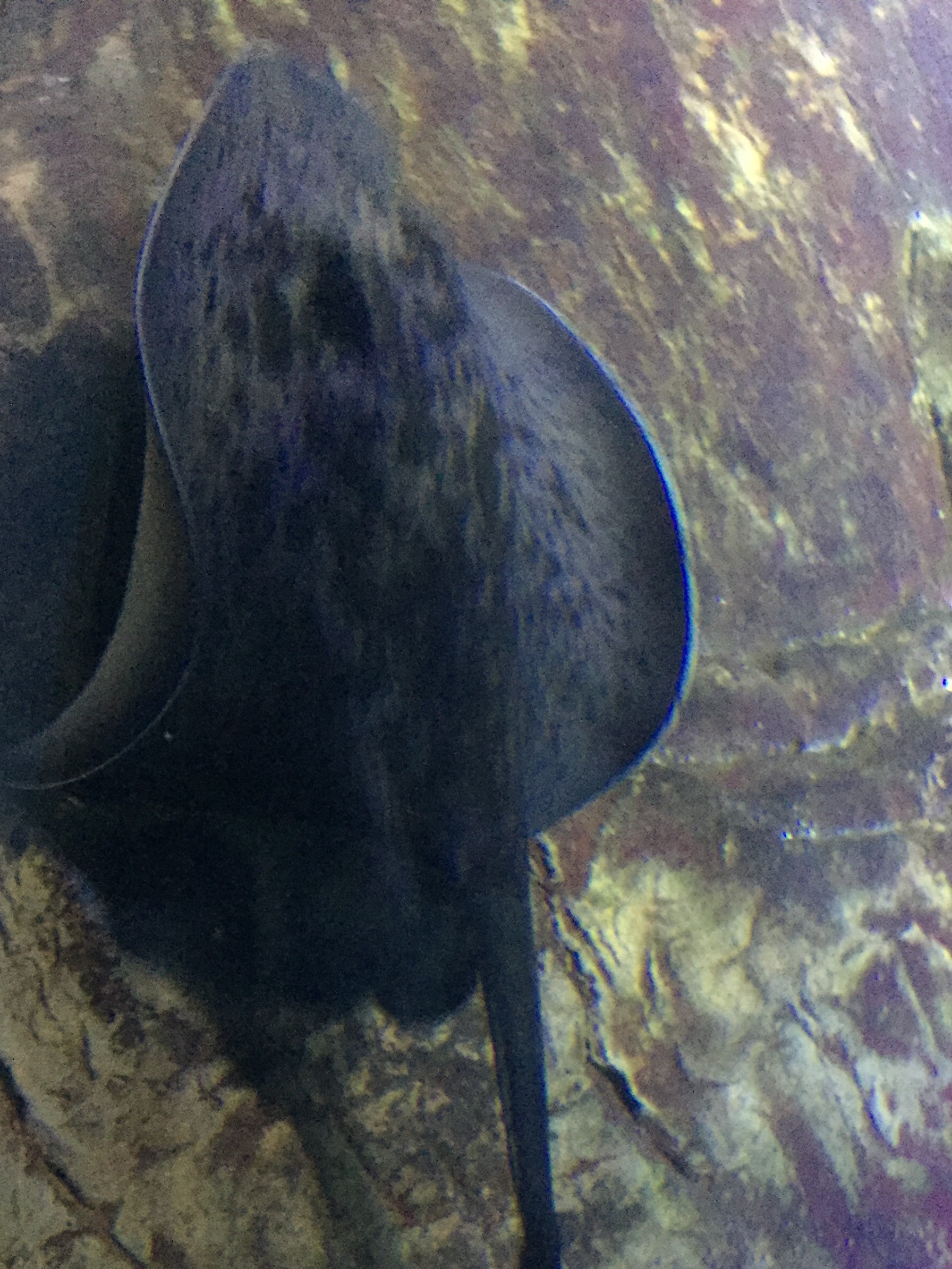 Zoo Berlin  18.08.2019