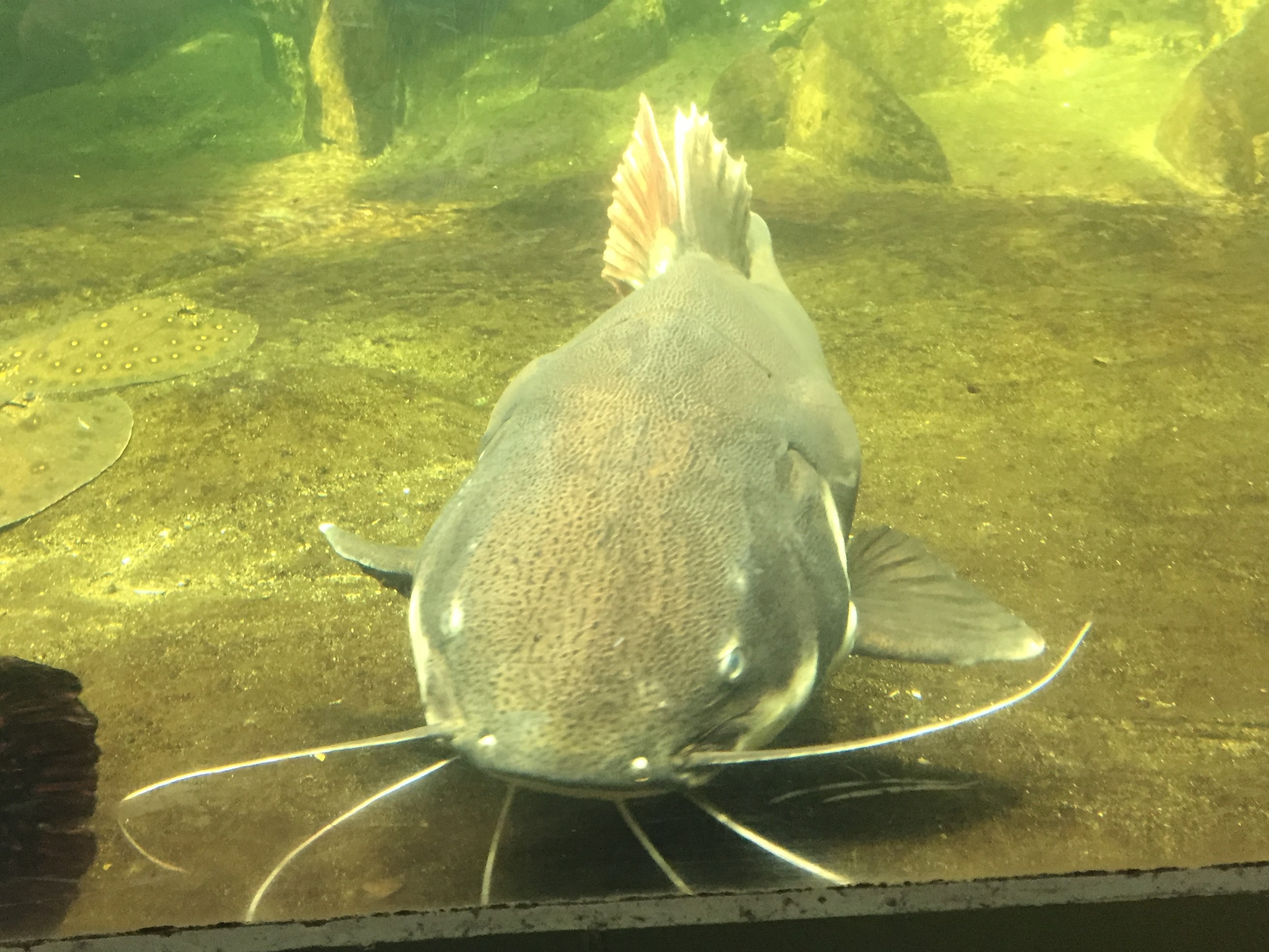 Zoo Berlin  18.08.2019